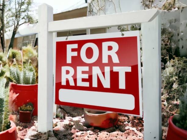 Find Quality, Eye-Catching, and Cheap Political Yard Signs in Denver